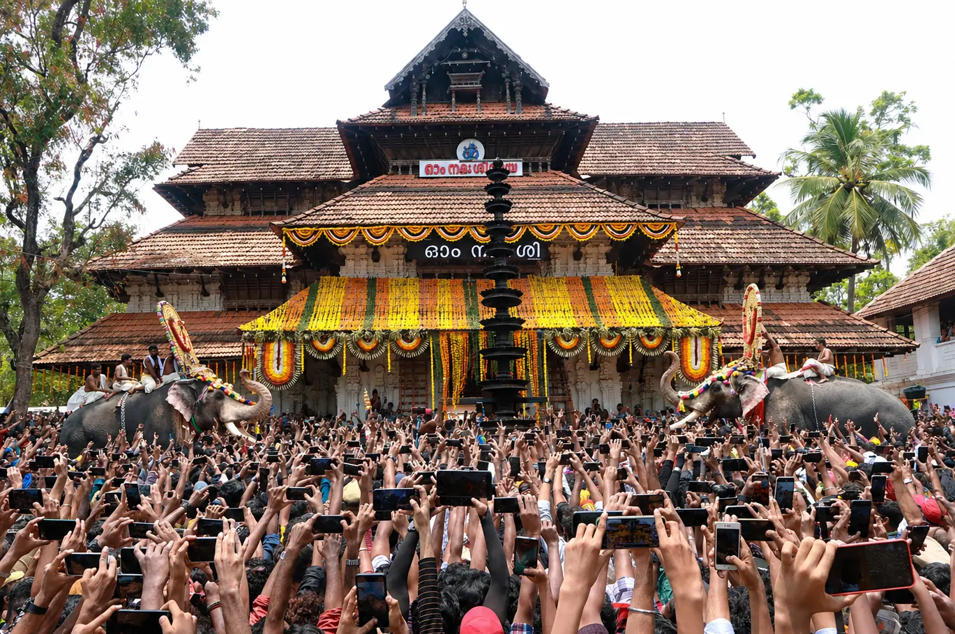 തൃശ്ശൂര്‍ പൂരത്തില്‍നിന്നുള്ള കാഴ്ച |ഫോട്ടോ:മാതൃഭൂമി