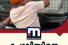 'ഗ്യാനേഷ് കുമാർ വോട്ട് ചോർ'; ഡൽഹിയിൽ പോലീസിനെ വിറപ്പിച്ച് കൊച്ചുമിടുക്കൻ