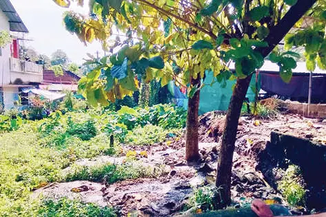 പശുഫാം: കുടിവെള്ളം മലിനമായി, എട്ട് കുടുംബങ്ങൾ ദുരിതത്തിൽ
