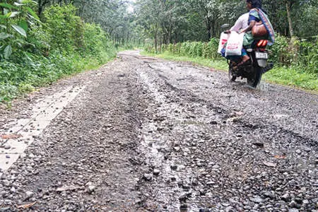 വിമാനം വന്നില്ലെങ്കിലും വഴിനടക്കേണ്ടേ...