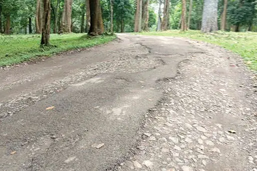ചേകാടിക്കാർക്ക് യാത്രാദുരിതം തുടർക്കഥ
