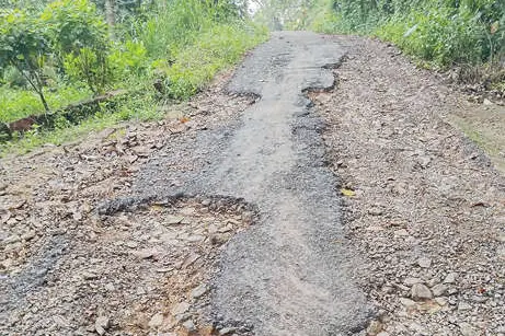 റോഡില്ല: പാലം ഉപയോഗിക്കാൻ കഴിയാതെ ചെന്നടുക്കം നിവാസികൾ