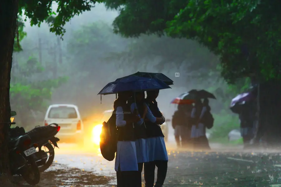 അതിതീവ്ര മഴയ്ക്ക് സാധ്യത; നാളെ മൂന്ന് ജില്ലകളിലും തിങ്കളാഴ്ച രണ്ടുജില്ലകളിലും റെഡ് അലേർട്ട്