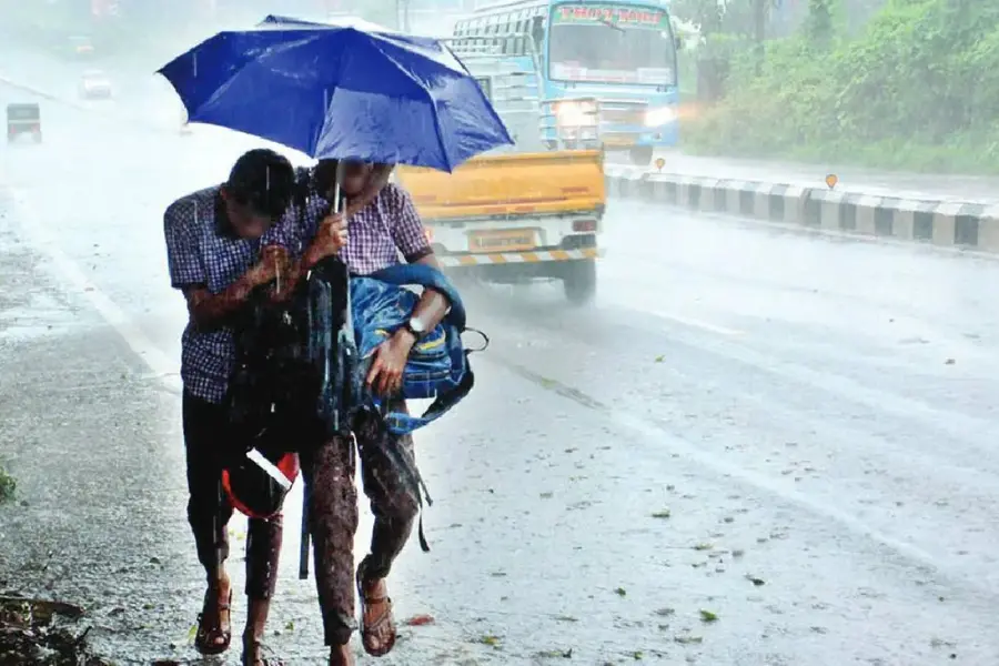 Kerala Heavy Rain: Holiday for Educational Institutions in Several Districts