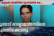 നൂറനാട് ഭാര്യാമാതാവിനെ കുത്തിക്കൊന്നു; മരുമകൻ പിടിയിൽ