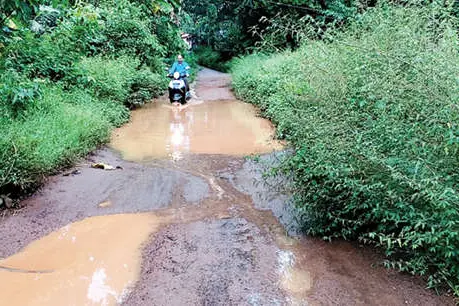 റോഡിൽ വെള്ളക്കെട്ട്, അരികിൽ കാട്; ദുരിതമായി യാത്ര