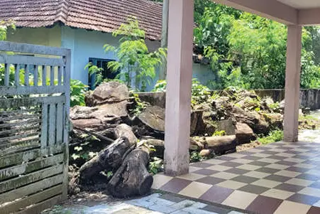 ഈ മുറ്റം ഒന്ന് വൃത്തിയാക്കിക്കൂടെ...