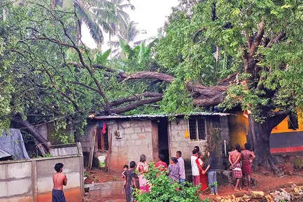 മരം വീണ് വീടുകൾക്കു നാശനഷ്ടം