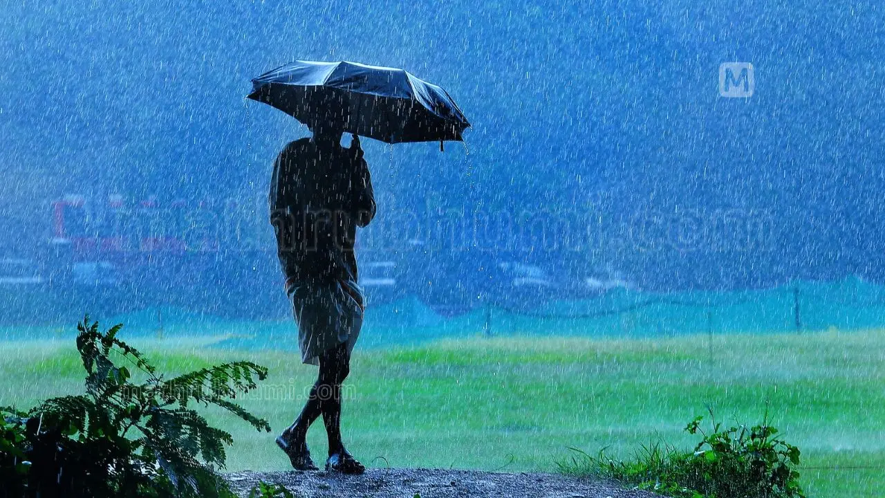 പ്രതീകാത്മകചിത്രം | മഴ | ചിത്രം: അരുൺ കൃഷ്ണൻകുട്ടി