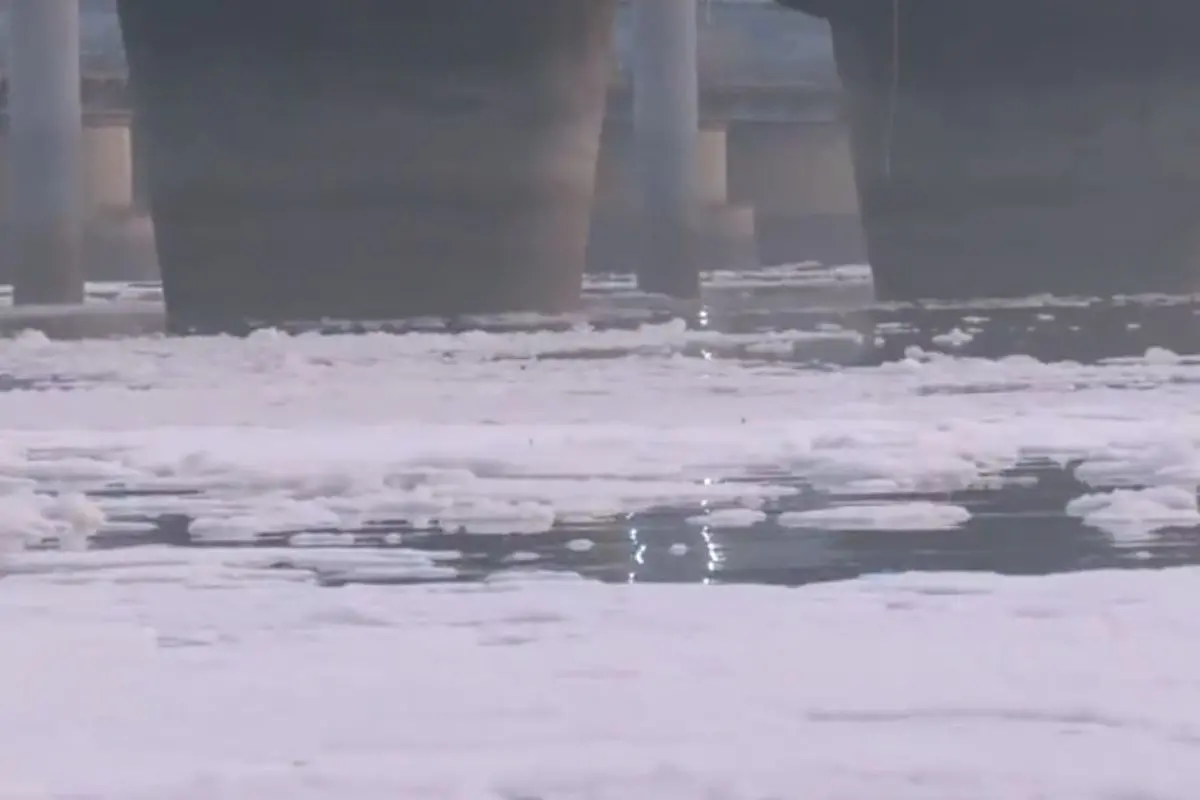 Toxic foam seen floating on the surface of the Yamuna River in Kalindi Kunj