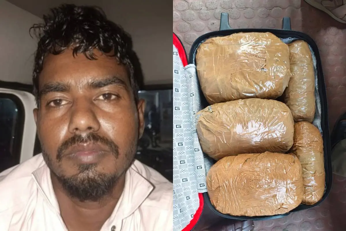 ജോയ്നല് അബേദിന്, പിടികൂടിയ കഞ്ചാവ്