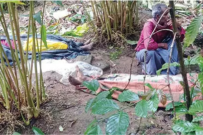 പട്ടിണിയോട് പൊരുതി ജീവിച്ചവർക്ക് ഒടുവിൽ മരച്ചുവട്ടിൽ ദാരുണാന്ത്യം