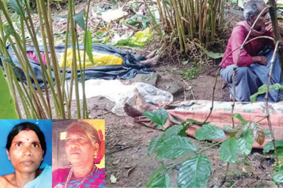 ഊൺ കഴിഞ്ഞ് വിശ്രമിക്കുന്നതിനിടെ അപകടമെത്തി; ശക്തമായ കാറ്റിൽ മരം വീണ് ഏലത്തൊഴിലാളികൾക്ക് ദാരുണാന്ത്യം