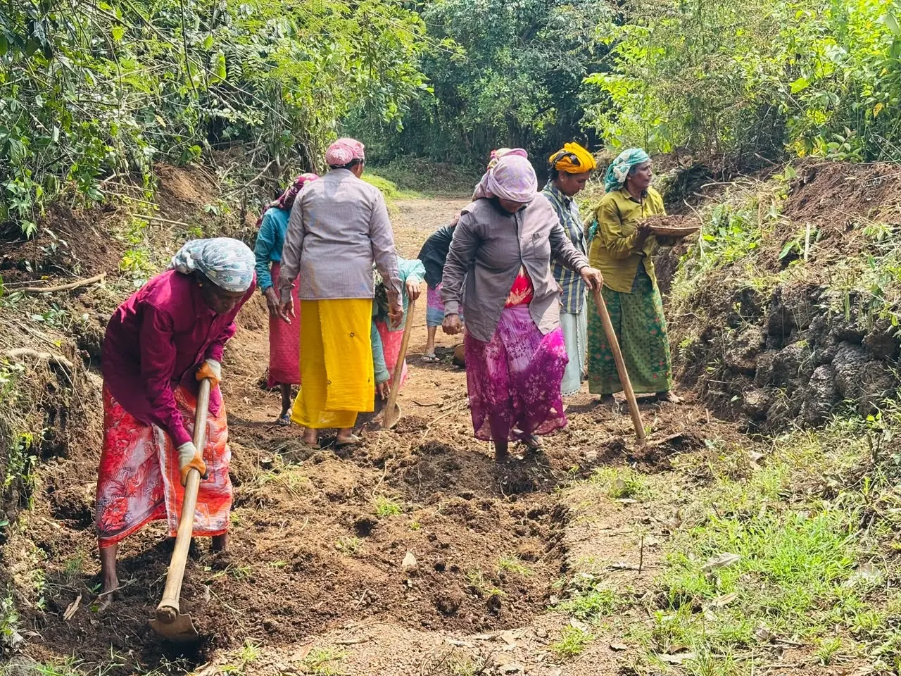 പ്രതീകാത്മകചിത്രം | പരിയാരം പഞ്ചായത്തിലെ അമ്മാനപ്പാറ കാരടി തോട് തൊഴിലുറപ്പ് തൊഴിലാളികൾ ചേർന്ന് വൃത്തിയാക്കുന്നു