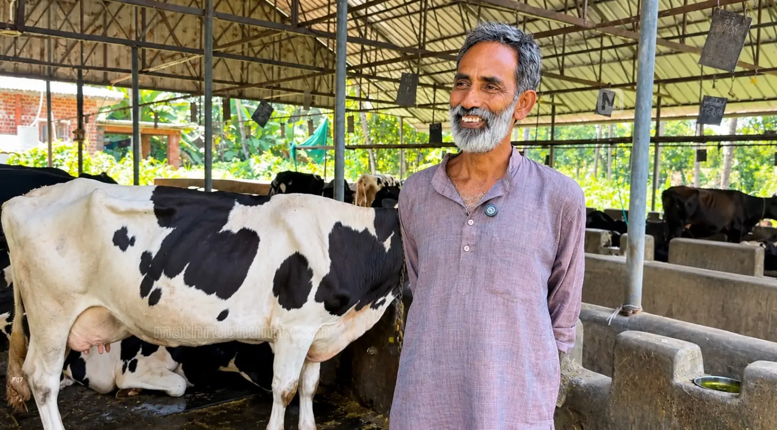 കൃഷ്ണൻ നമ്പൂതിരി ഡയറി ഫാമിൽ