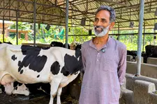ശാസ്ത്രീയ സംഗീതം കേട്ട് പാലു തരുന്ന 'ഖരഹരപ്രിയയും' 'കല്യാണിയും'; ഷൊർണ്ണൂരിലെ സംഗീതസാന്ദ്രമായ ഡയറി ഫാം