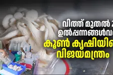 10-ൽ നിന്ന് 2,000 കർഷകരിലേക്ക്: ഒരു നാട് ഒന്നാകെ 'കൂൺ ഗ്രാമം' ആയ കഥ