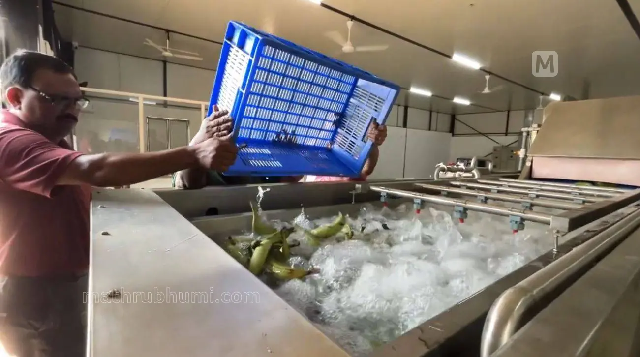 കാക്കനാട് ഹോർട്ടികോർപ്പ് വളപ്പിലെ ഓസോൺ വാഷ് പ്ലാന്റ് | Photo: Mathrubhumi