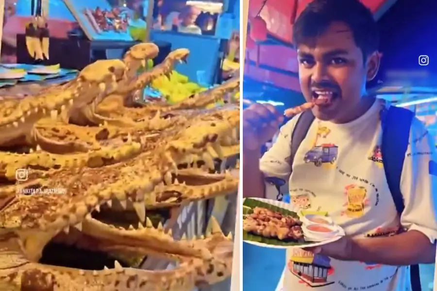 crocodile meat