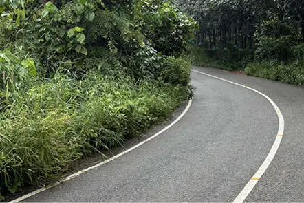 മണ്ഡലകാലമടുത്തിട്ടും മുന്നൊരുക്കങ്ങളില്ലാതെ പ്രാദേശിക ഭരണകൂടങ്ങൾ