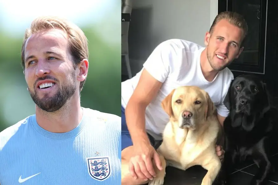 harry kane