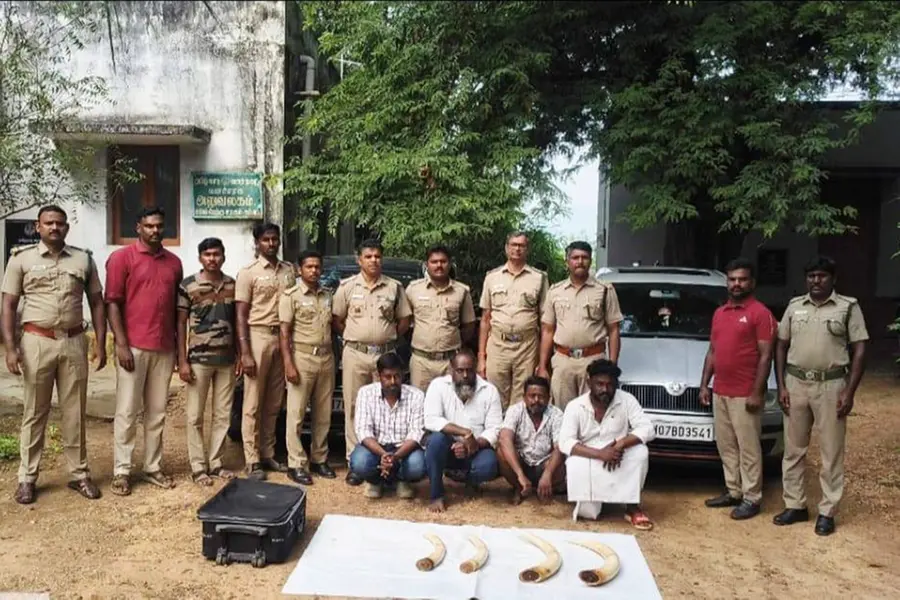 തമിഴ്നാട്ടിൽനിന്ന് കേരളത്തിലേക്ക് ആനക്കൊമ്പ് കടത്താൻ ശ്രമം; നാലംഗ സംഘം പിടിയിൽ