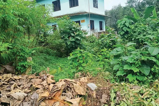 ഒടിയപാറ അങ്കണവാടിയിലേക്ക് വഴിയില്ല; കുരുന്നുകൾക്ക് ദുരിതം