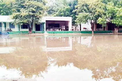 സർക്കാർ സ്കൂൾ വളപ്പിൽ മലിനജലം കലർന്ന മഴവെള്ളം