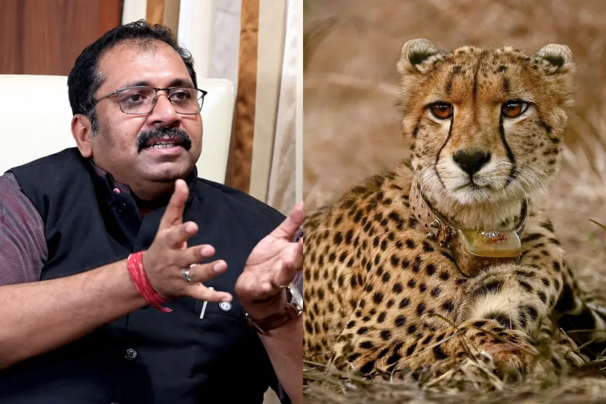 സഞ്ജയൻ കുമാർ, പ്രതീകാത്മക ചിത്രം