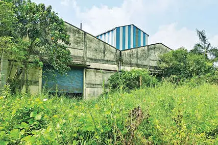 കാടുകയറി കുഴൂരിലെ വ്യവസായ വിപ്ലവം