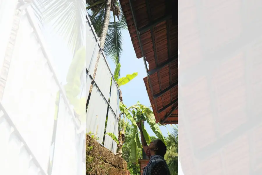 ഗൃഹപ്രവേശം മുടക്കി അടുത്തപറമ്പിലെ തെങ്ങ്; ചായയിലും ഷേക്ക് ഹാൻഡിലും തീർക്കാനാകാതെ ഈ ‘തെങ്ങുകേസ്’