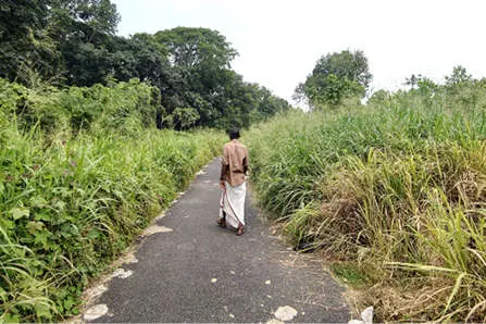 കനാൽറോഡുകൾ കാടുമൂടി; യാത്ര ദുഷ്കരം