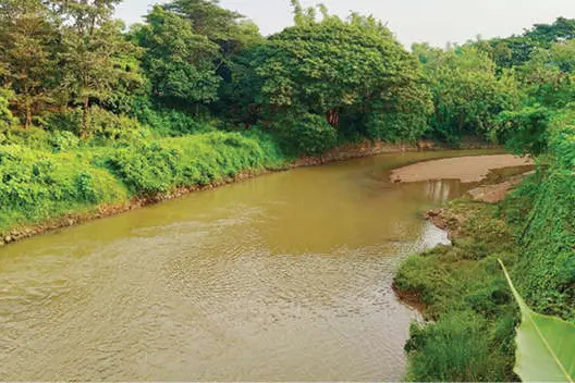വെള്ളംകയറുന്ന പ്രശ്നം; ഒറ്റപ്പാലത്ത് ഇരുതോടുകൾക്കും ഭിത്തി കെട്ടും