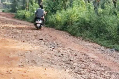 പൊട്ടിപ്പൊളിഞ്ഞും കാടുകയറിയും തൃപ്രങ്ങോട്ടൂരിലെ റോഡുകൾ