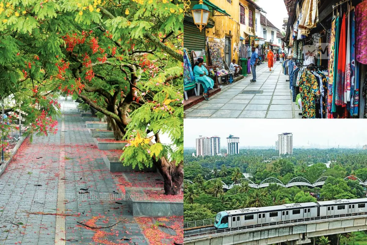പ്രതീകാത്മകചിത്രം | ഫോട്ടോ: മാതൃഭൂമി