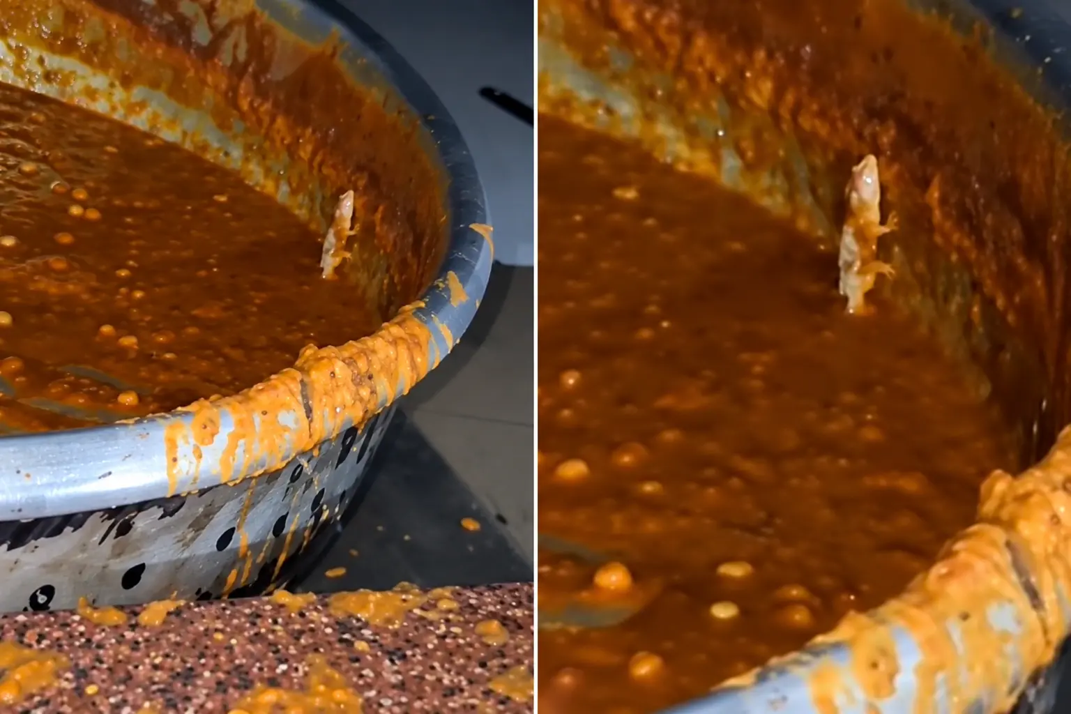 A lizard was spotted inside a vessel of chole curry at the Manjeera Hostel mess of JNTU Hyderabad, triggering panic among students and protests over food safety and hygiene.