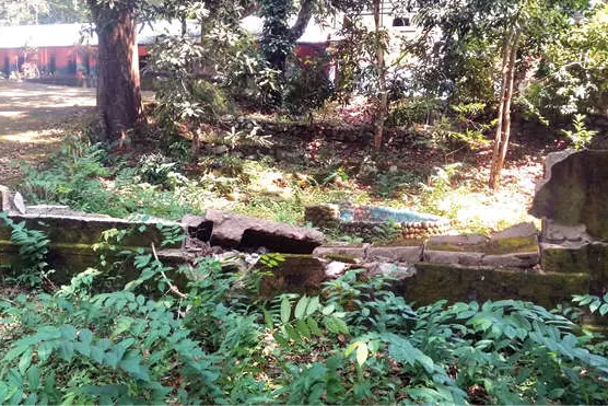 തലത്തൂതക്കാവ് സ്കൂളിന്റെമതിൽ കാട്ടാനക്കൂട്ടം തകർത്തു