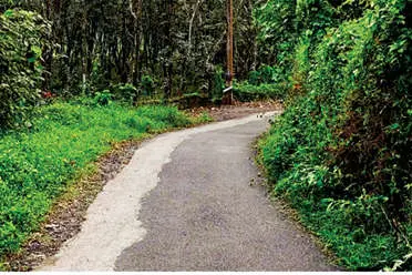 വികസനം കാത്ത് കൈനി ലക്ഷംവീട് നഗർ റോഡ്