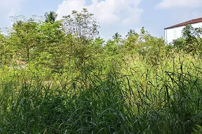 വിവാദങ്ങളും തർക്കങ്ങളും കാടുകയറി കായിക സ്വപ്നങ്ങൾ