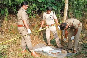 എസ്റ്റേറ്റിൽ തലയോട്ടിയും അസ്ഥികളും കണ്ടെത്തി