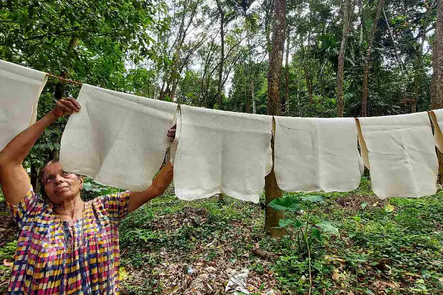 ചരിത്രത്തിലാദ്യമായി റബ്ബർവില 300 തൊട്ടു; രാജ്യത്ത് 5.22 ലക്ഷം മെട്രിക് ടൺ റബ്ബറിന്റെ കുറവ്
