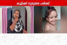 കൊല്ലം കൊട്ടാരക്കരയിൽ തെരുവുനായ ആക്രമണം: മൂന്നു വയസ്സുകാരിയുടെ മുഖത്ത് ഗുരുതര പരിക്ക്